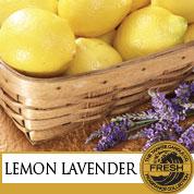 Lemon lavender / lavande citronelle