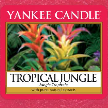 Tropical Jungle / Jungle tropicale