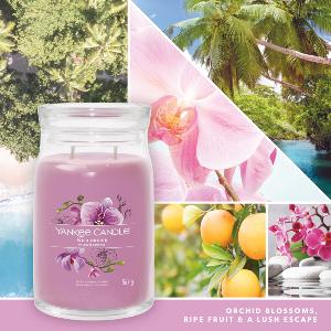 Grande Jarre Wild Orchid / Orchidée Sauvage Yankee Candle Signature