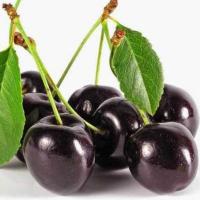Black Cherry / Cerise griotte