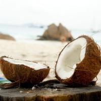 Island Coconut / Noix de coco des îles