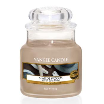 Petite Jarre Seaside Woods Yankee Candle