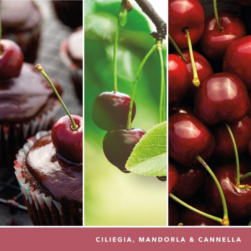 Black cherry / Cerises griottes